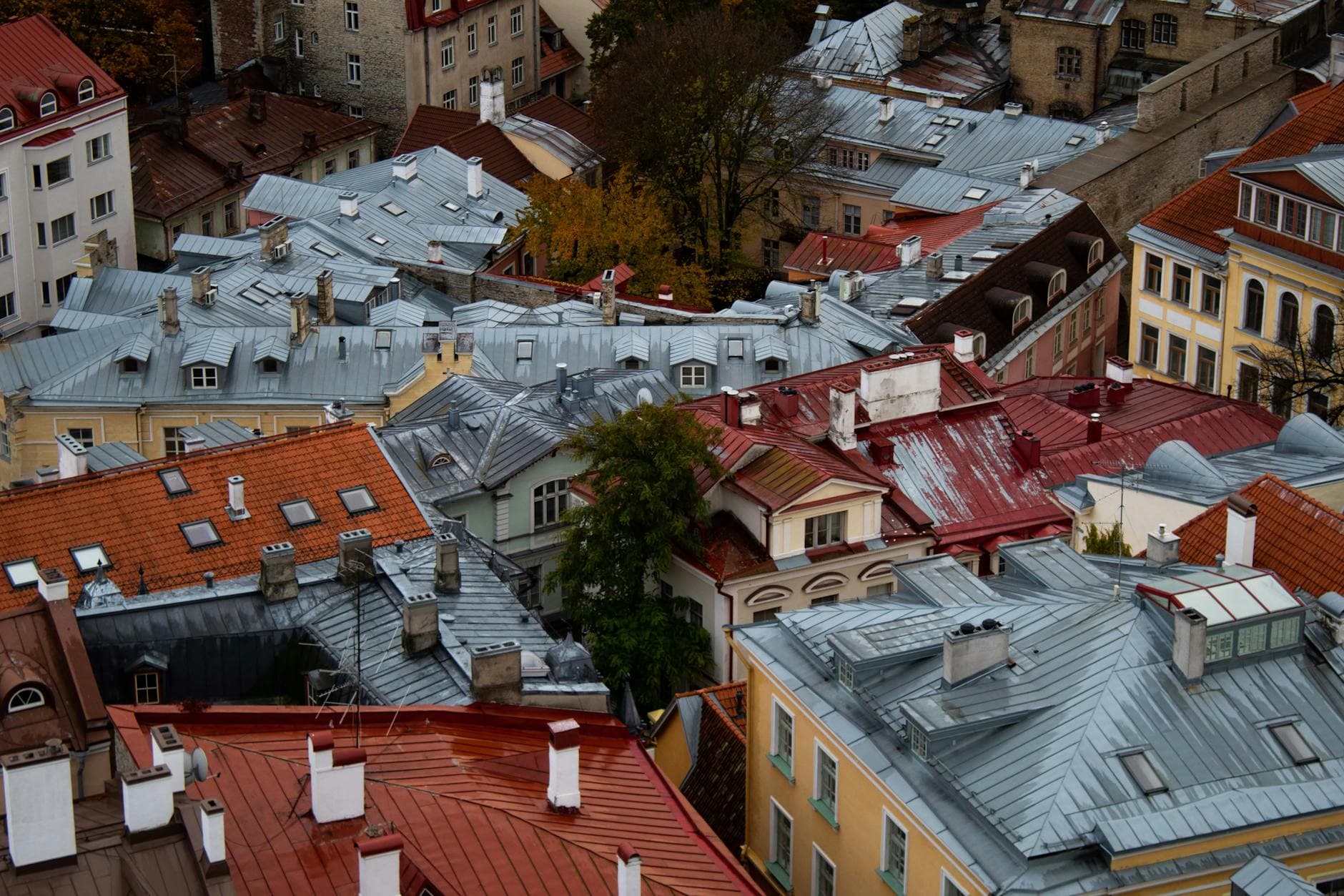 A captivating aerial shot of colorful historic rooftops in a cozy urban neighborhood during autumn.
